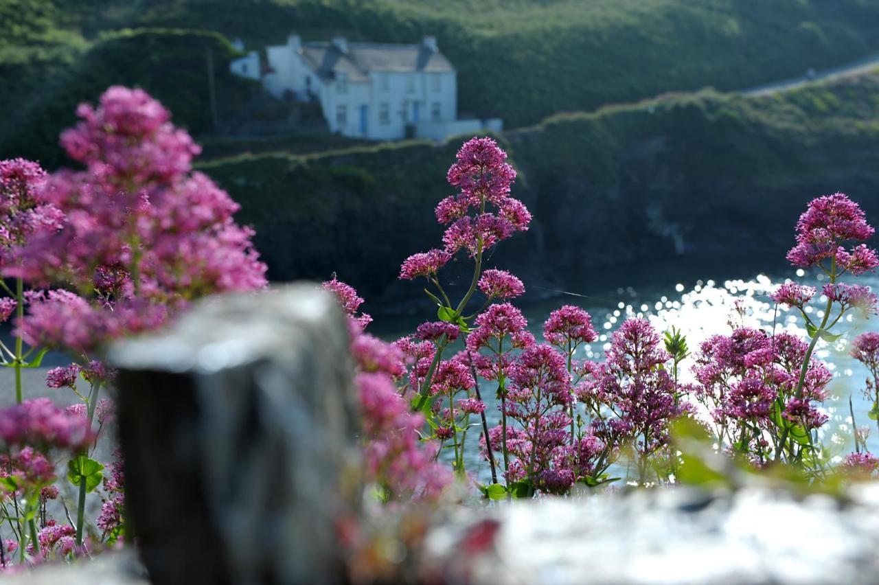 Tranquil Cornish Retreat Close To Port Isaac Beaches And Moor Bodmin Exterior foto